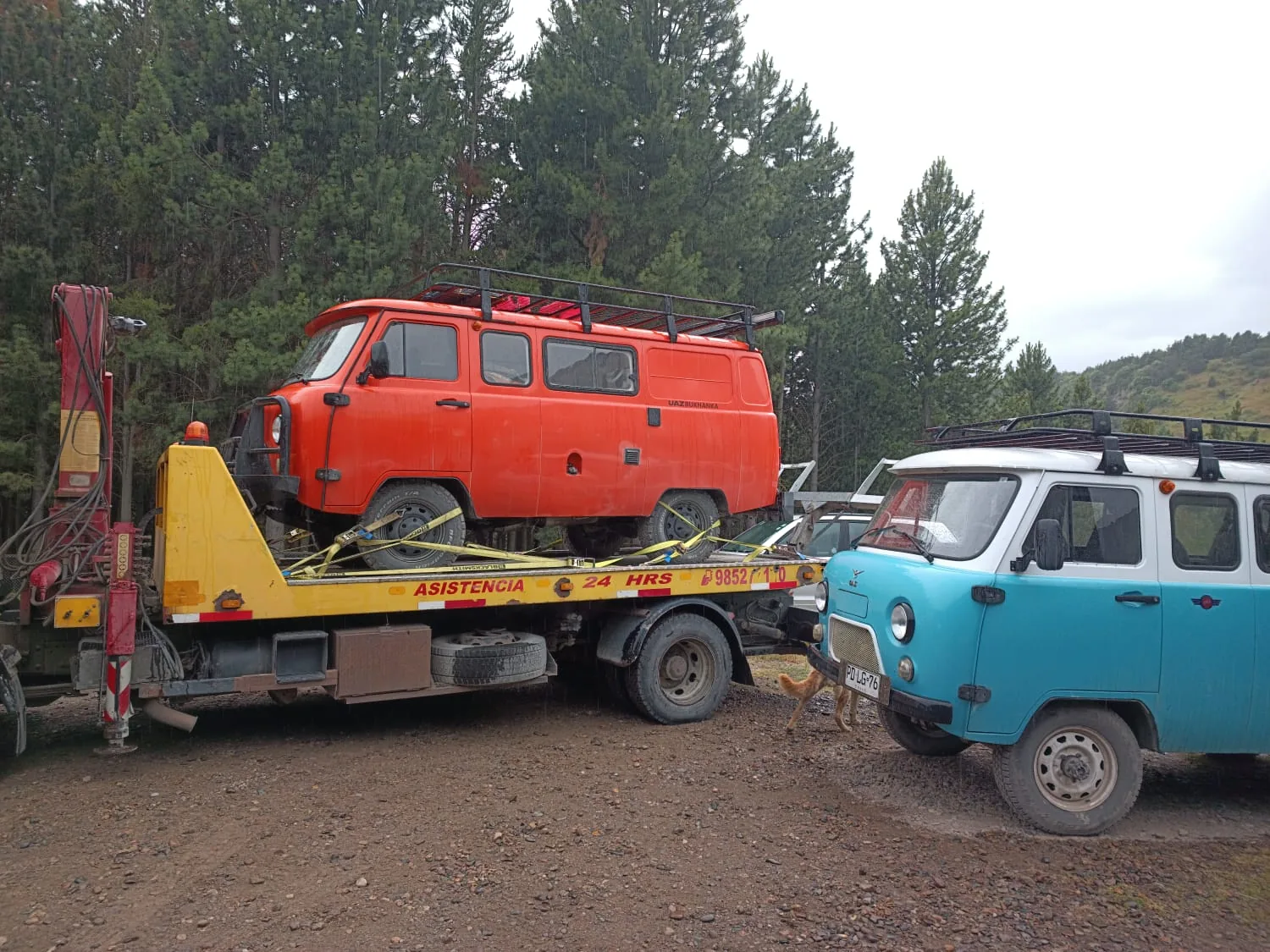 Camioneta y vehículos tipo overlander en la Patagonia, cerca de Coyhaique.